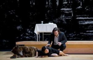 CHARODEYKA. THEATER A.D.WIEN_page5_image2