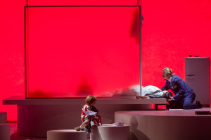 MADAMA BUTTERFLY. OVIEDO.2014-003