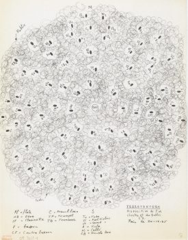 Estudio-de-terretektorh