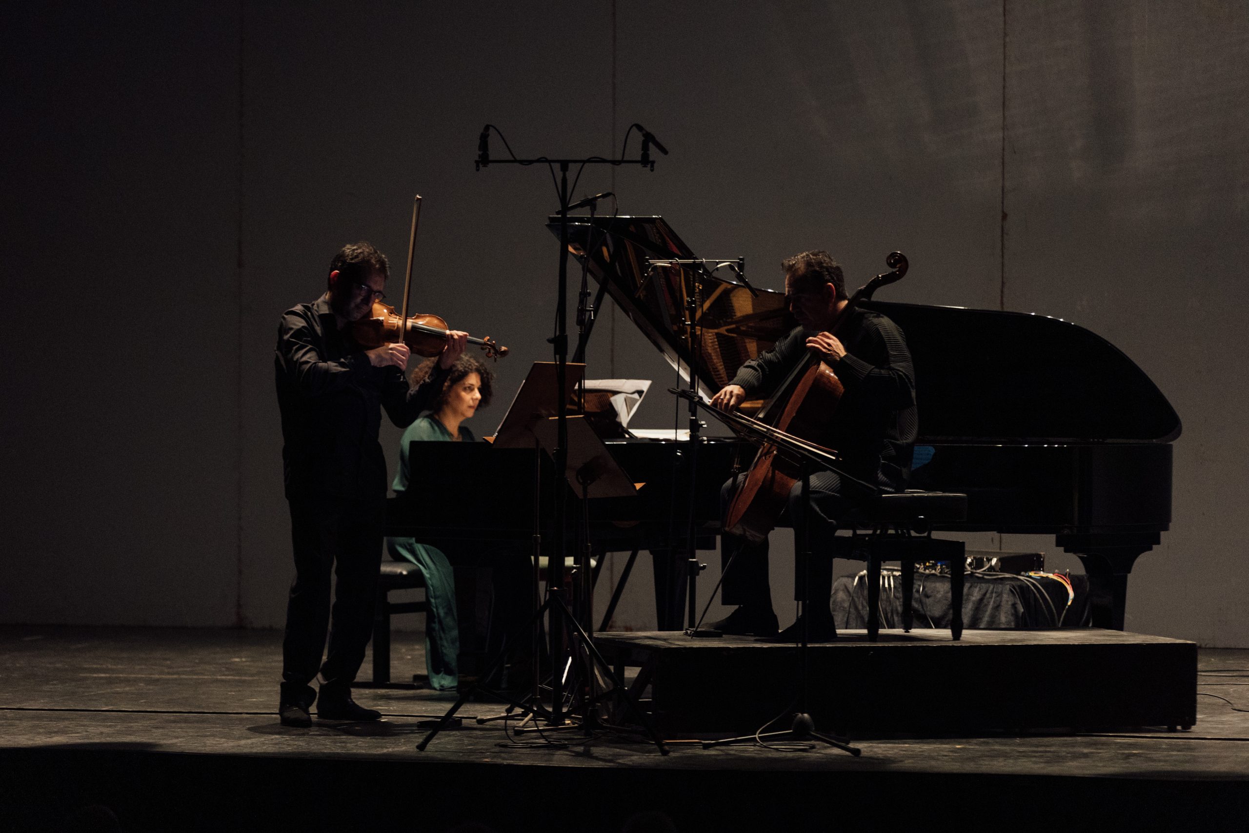 50o-Sociedad-de-Conciertos-de-Alicante-c-Kiwo