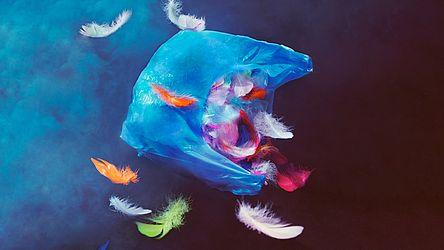 La Flauta mágica © Erli Grünzweil