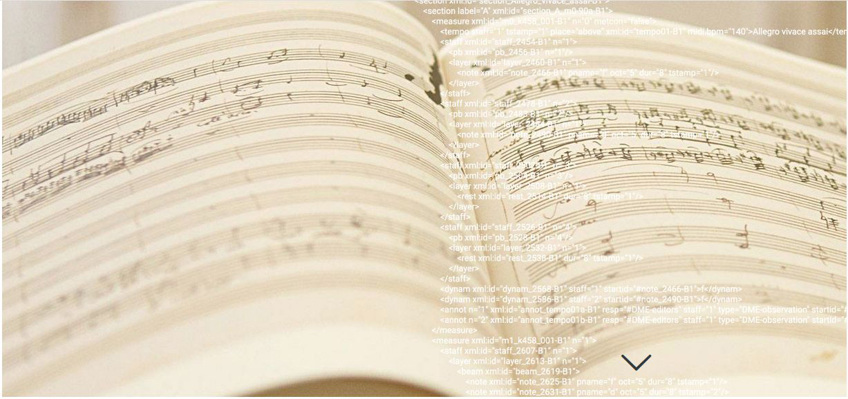 DIME-Mozarteum-Foundation