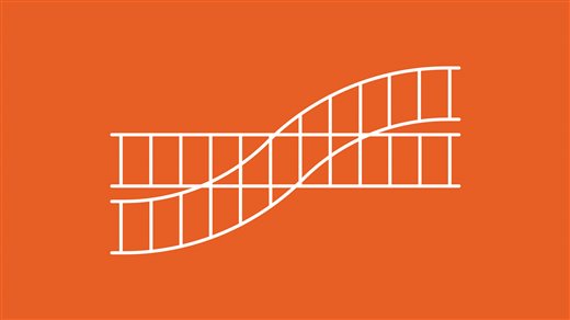 disimiles-vidas-paralelas-fundacion-juan-march