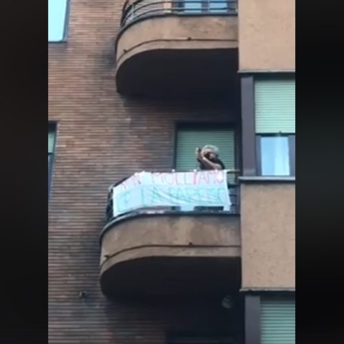 danilo-rossi-suona-ventana-viola